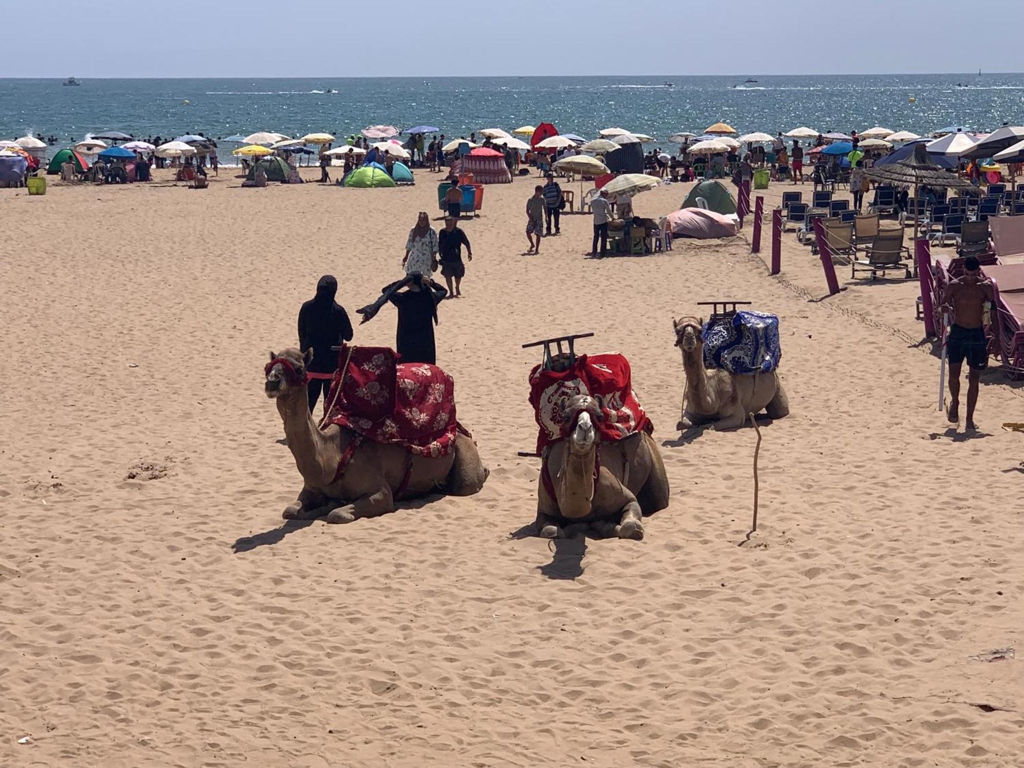 Luxury Apartment In Agadir Bay Esterno foto